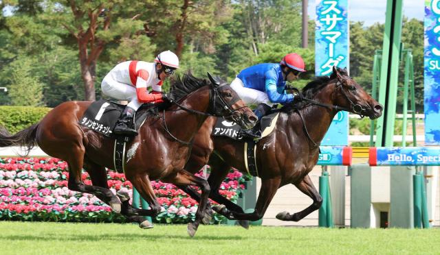「こいつまじで怪物」1年2か月ぶりの実戦で無傷の2連勝!新潟で復活したアンパドゥの走りに衝撃