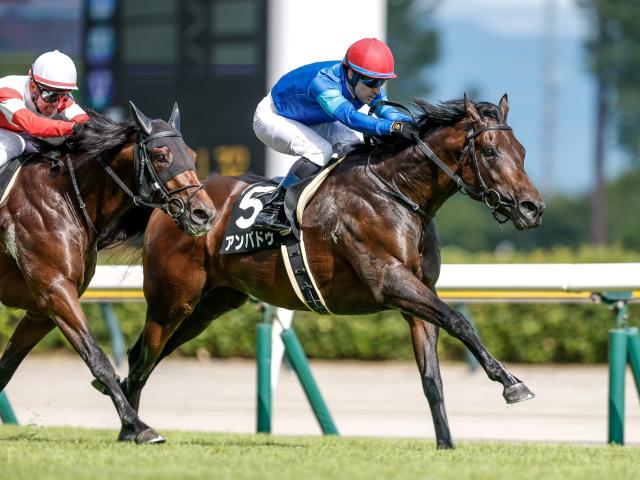 【五頭連峰特別レース後コメント】アンパドゥ C.ルメール騎手ら