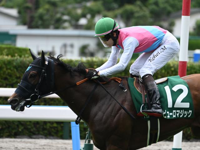 【AI予想・アイビスSD】新境地を開いた快速馬！ 絶好調の鞍上を味方に久々の勝利をつかみ取る