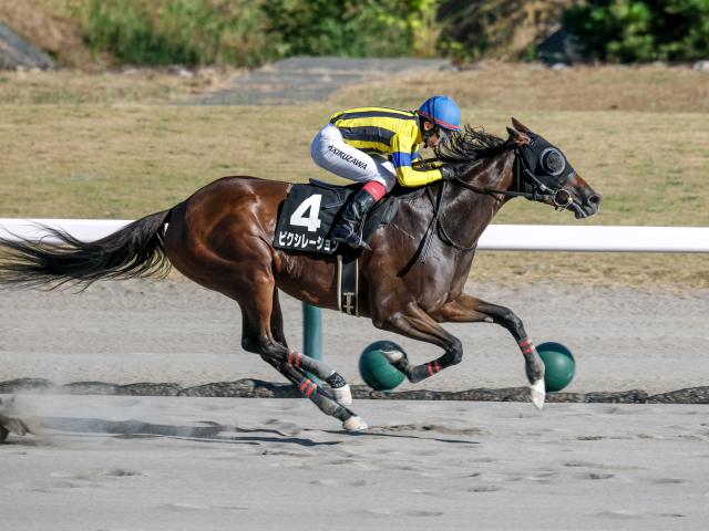 【苗場特別レース後コメント】ピクシレーション菊沢一樹騎手ら
