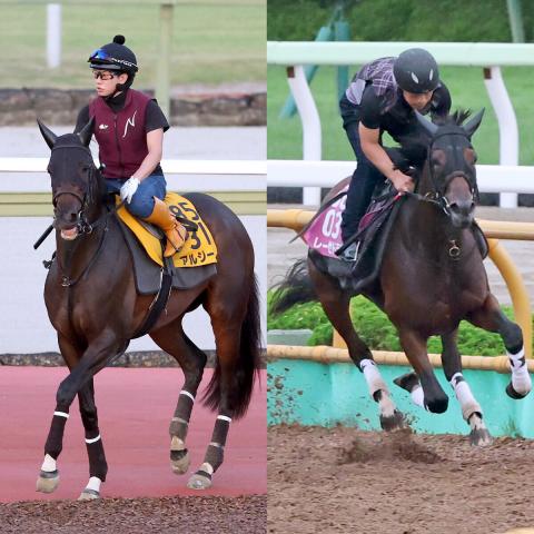 【クイーンS】“キング姐さん”騎乗のレーゼドラマと母子制覇かかるアルジーヌが前日単勝1番人気