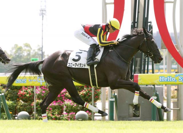 【中京2R・2歳新馬】天国の偉大な姉と同じ第一歩　リバティアイランドの妹・コニーアイランドが初陣星
