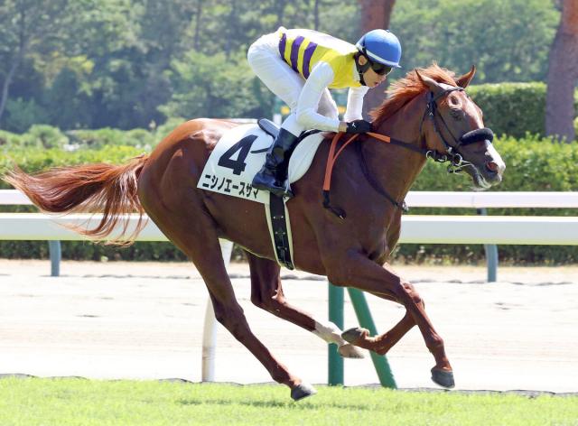 【新潟3R・2歳未勝利】名前通りの強さでニシノエースサマが5馬身差V　津村明秀騎手「動きが軽くなっていた」