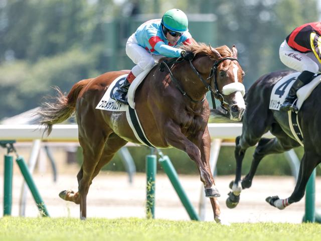 【新潟4R新馬戦結果】アーモンドアイの仔プロメサアルムンドがC.ルメール騎手とのコンビでV！