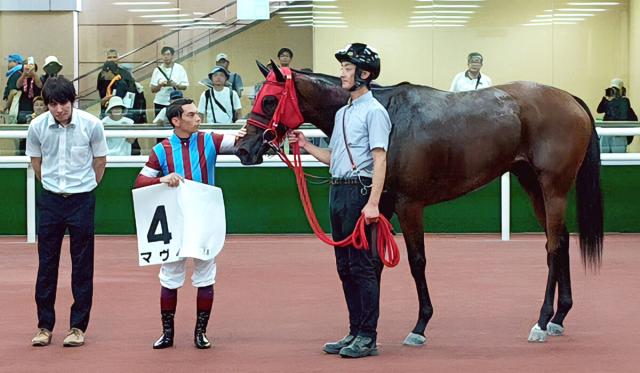 【中京2R・2歳新馬】マヴィが逃げ切り快勝　アレクシ・バデル騎手「プロフェッショナルな走りをしてくれた」