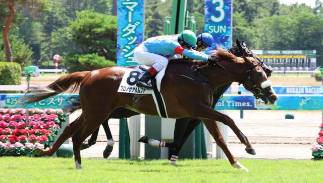 【新潟4R・2歳新馬】超良血馬プロメサアルムンドがデビューV　ルメール騎手「アーモンドアイの子は特別」
