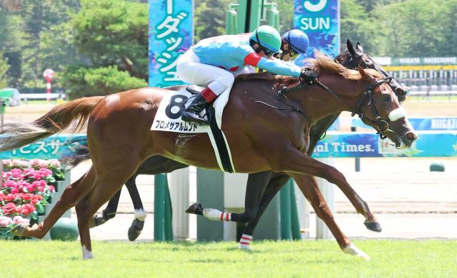 【新潟4R・2歳新馬】プロメサアルムンド勝利にシルクレーシング代表も興奮「国枝先生と一緒にG1を勝つためには…」