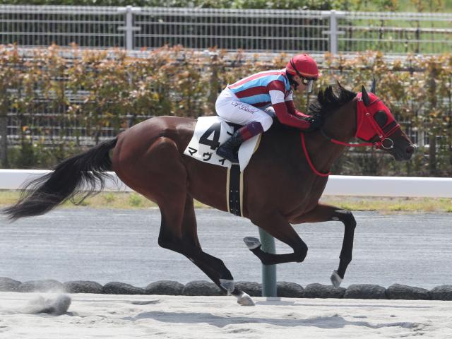 【中京2R新馬戦結果】ルヴァンスレーヴ産駒マヴィが逃げて快勝