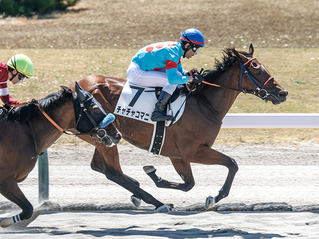 【新潟2R新馬戦結果】ホッコータルマエ産駒チャチャコマニが追い比べを制してV
