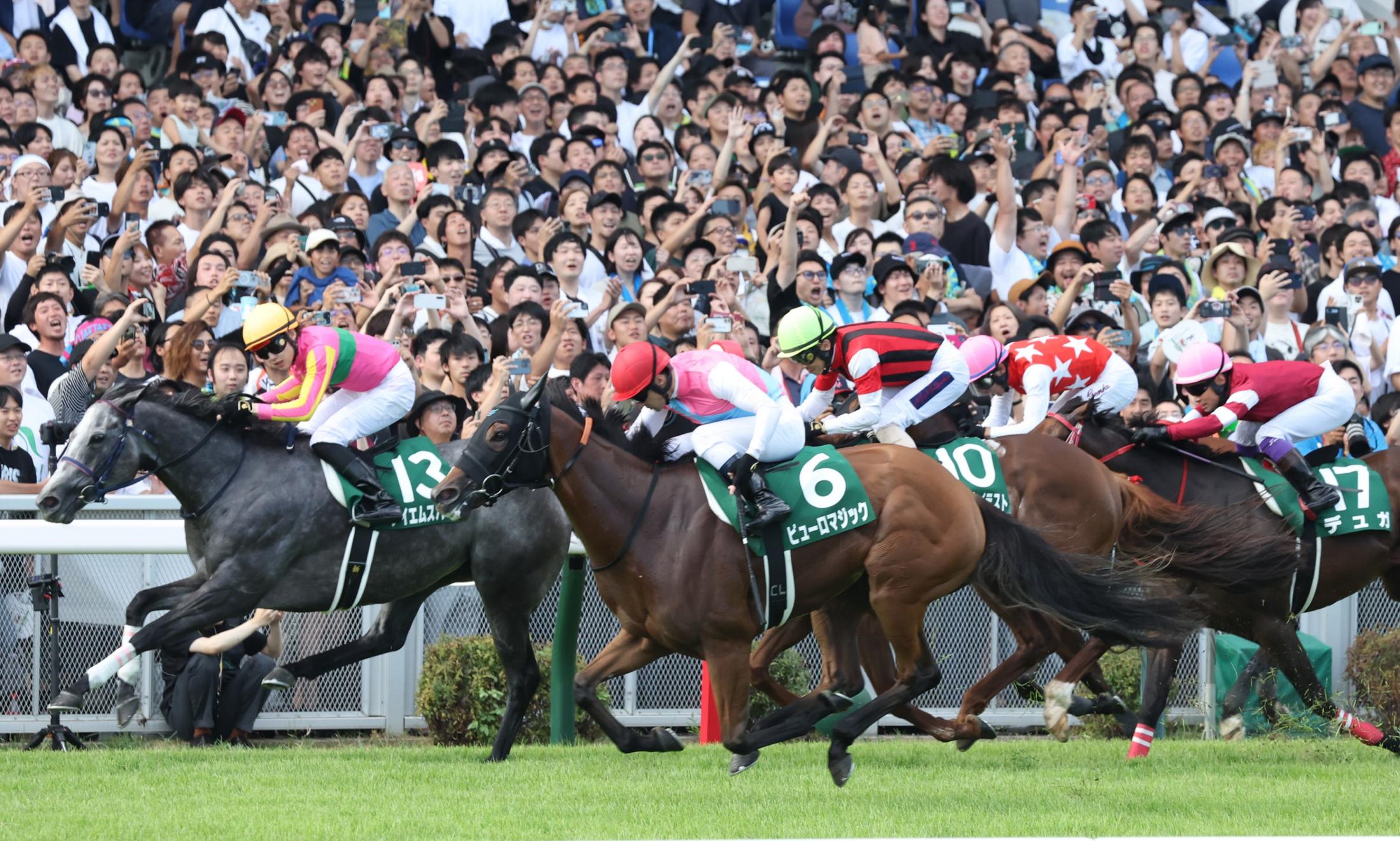 【アイビスＳＤ】ピューロマジックが重賞３勝目　ルメールはアイビスＳＤ初参戦初Ｖ