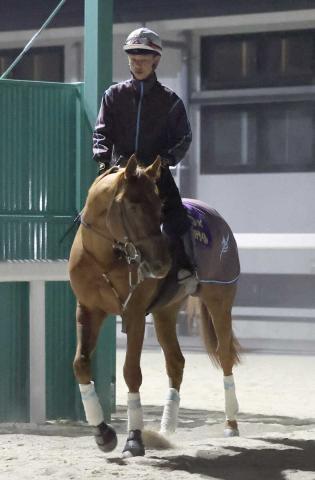 英G1参戦ダノンデサイルが国内最終追い　安田師「馬の後ろで我慢させて」
