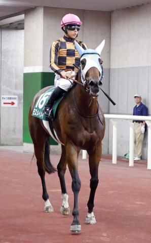 【アイビスSD】モズメイメイは6着　前川調教師はJRA女性トレーナー重賞初Vならず　高杉吏麒騎手「ギアが…」