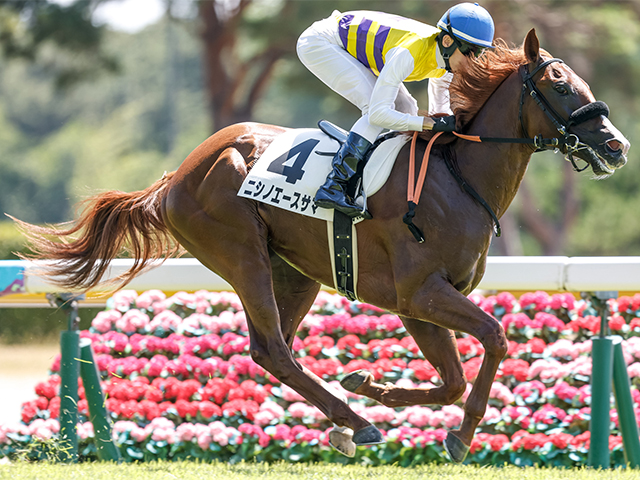 【2歳未勝利新潟3Rレース後コメント】ニシノエースサマ津村明秀騎手ら
