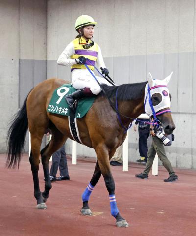 【アイビスSD】今村聖奈騎手とコンビのニシノトキメキは17着「自己条件でまた頑張っていきたいです」