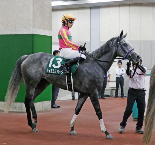 【アイビスSD】1番人気のテイエムスパーダは首差2着の惜敗　斎藤新騎手「勝ち馬の決め手が一枚上でした」