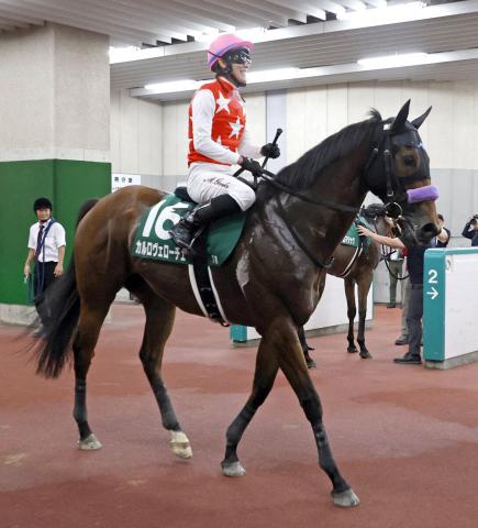 【アイビスSD】直線競馬に初挑戦のカルロヴェローチェは4着　丸山元気騎手「少し時計が速かったですね」