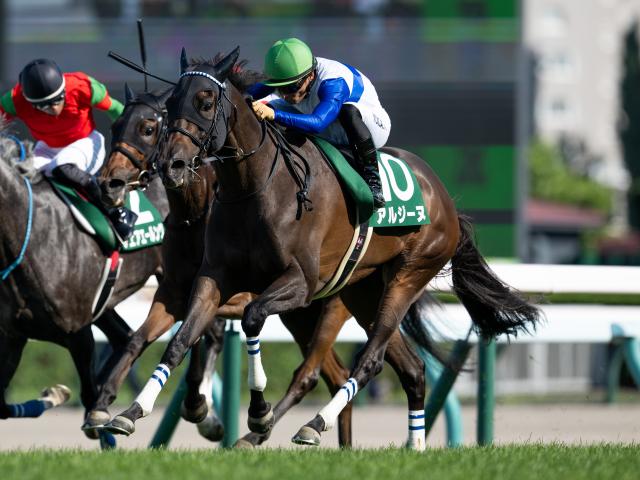 【クイーンS結果】アルジーヌが人気に応えて重賞2勝目