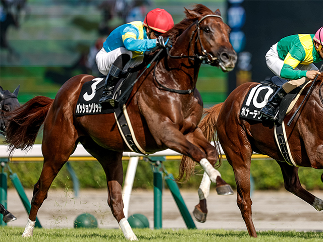 【燕特別レース後コメント】パッションリッチ菅原明良騎手ら