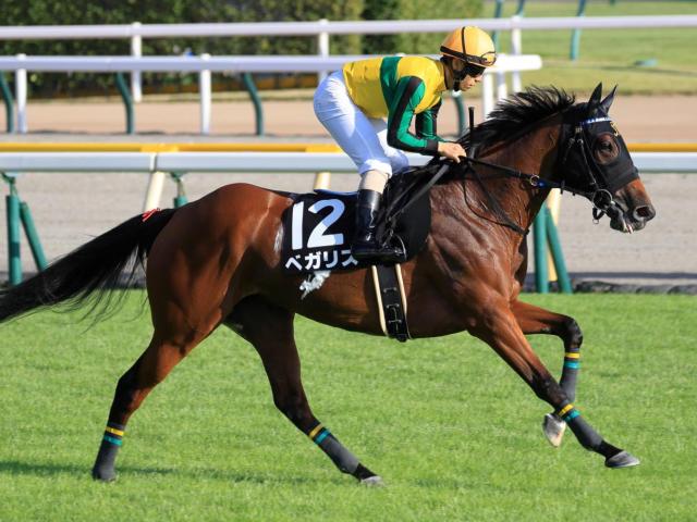 【CBC賞】藤懸貴志騎手が4年ぶりの重賞2勝目へ ベガリスで一発狙う
