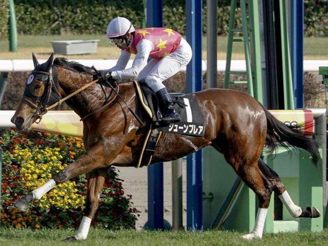 【CBC賞】武豊騎手が7年ぶりの参戦 ジューンブレアで26年ぶり3勝目なるか
