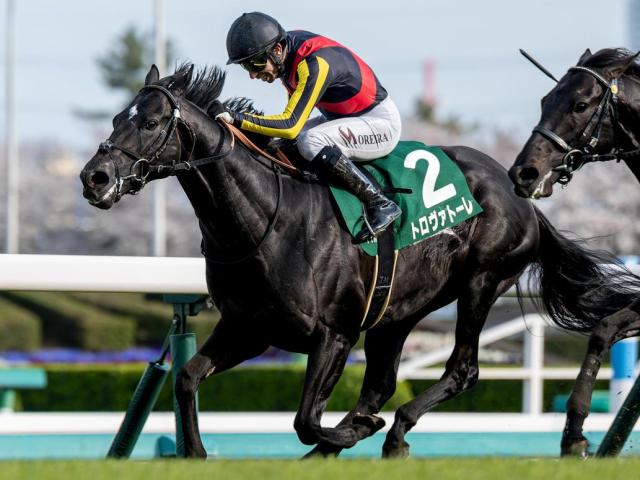 【エルムS】初ダートで重賞2勝目なるか 良血トロヴァトーレが参戦