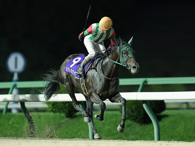 【盛岡・ひまわり賞結果】ミナトミナイトが突き抜け重賞初制覇
