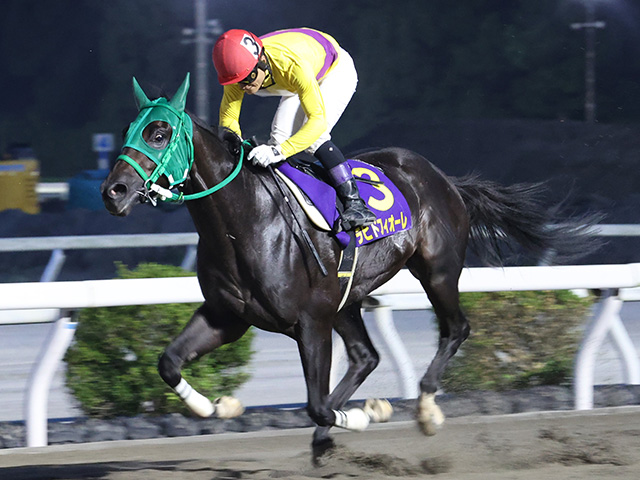 【高知・黒潮菊花賞結果】兵庫のラピドフィオーレが6馬身差圧勝 ジュゲムーン3冠ならず2着