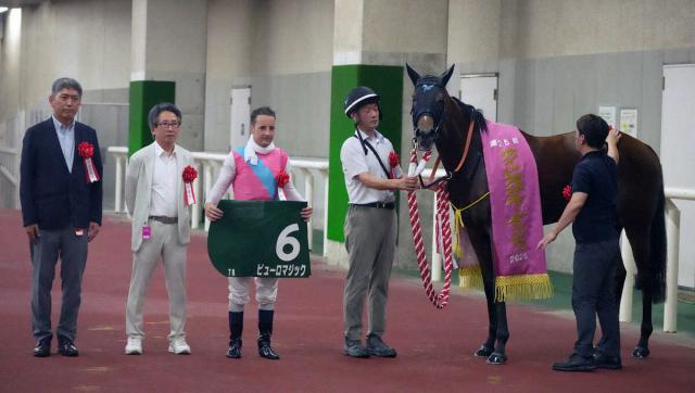 JRA史上最速上がり3F更新31秒3!ピューロマジックがアイビスSDで驚異的な脚を繰り出す