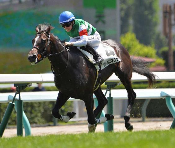 【札幌新馬戦】クレパスキュラー　2歳コースレコードV　キング「ポテンシャルは高い」