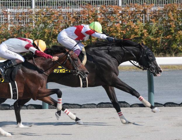 【名鉄杯】マリオロード　昇級18戦目でOP初勝利　バデル「途中から波に乗れた」
