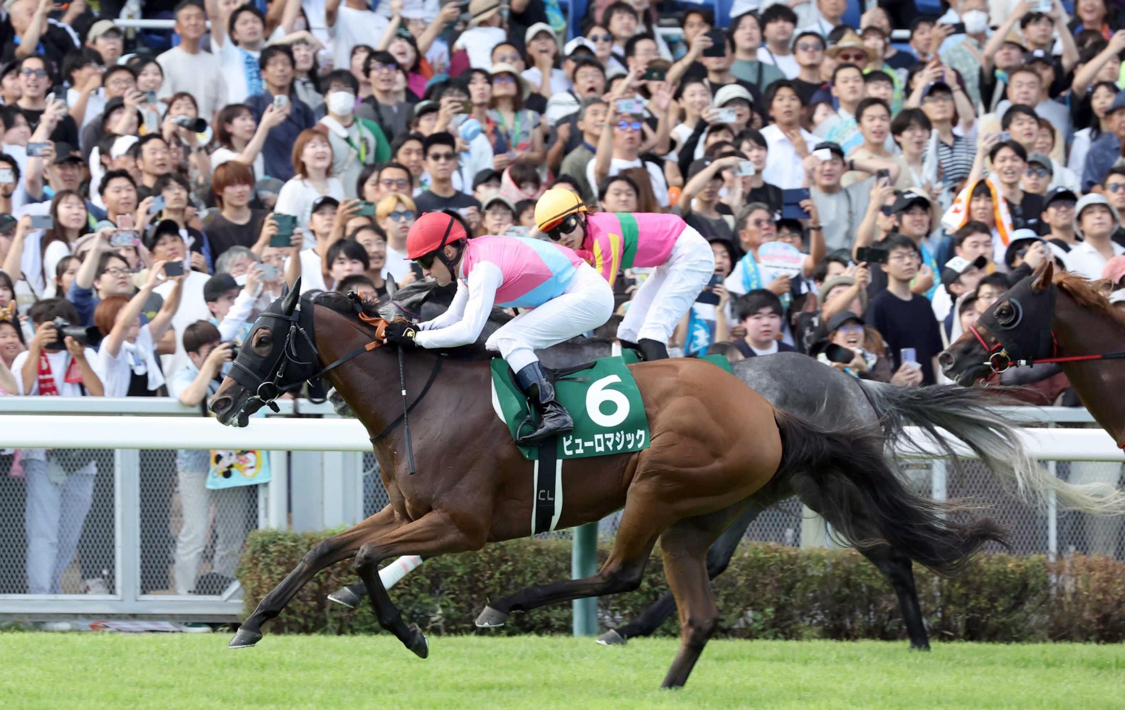 【アイビスＳＤ】ピューロマジック　カルストンライトオのレコードと同タイム勝利　馬場中央突いた！ルメールマジックで重賞３勝目