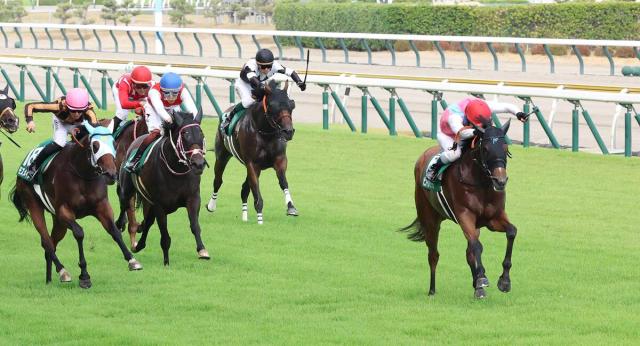 【アイビスSD】脚質転換のピューロマジックがJRA史上最速の上がり31秒3で重賞3勝目　ルメール「すごくいい脚」