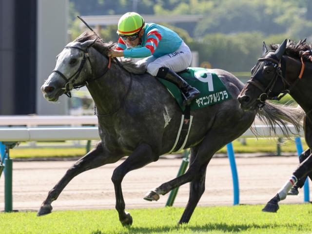 【CBC賞見どころ】ヤマニンアルリフラの4連勝に期待