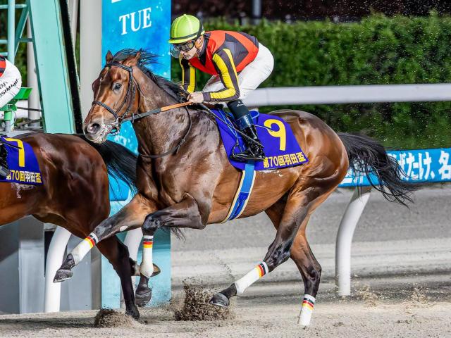 【レパードS見どころ】中央重賞初勝利を目指すジャナドリアを主力視