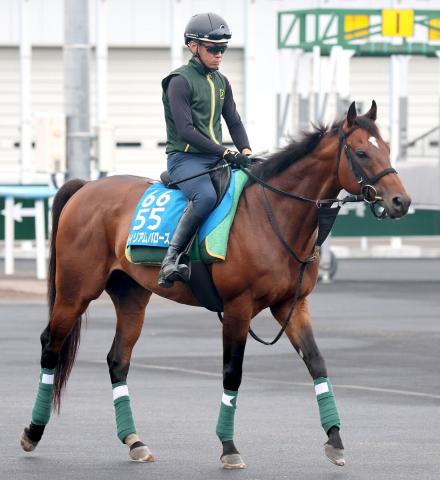 【エルムS・戸田の特注馬】ウィリアムバローズを中心視　機動力を生かせる得意の舞台設定