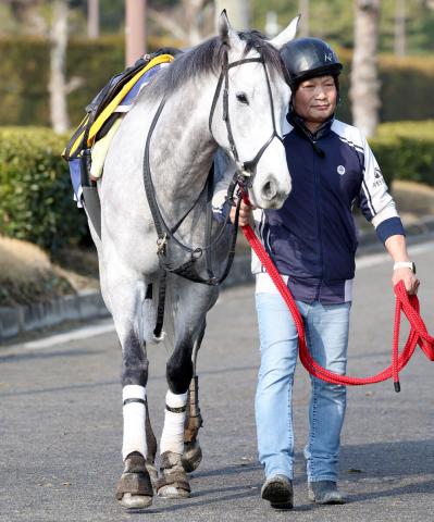 【CBC賞・理貴の特注馬】昨年3着グランテストが巻き返す　過去10年で5歳馬が7勝のデータも追い風