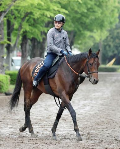 【レパードS】雲取賞覇者ジャナドリアがJRA重賞初Vへ　武井調教師「体調が良ければ、いいパフォーマンスできる」