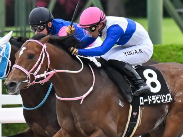 【レパードS】川田将雅騎手が今年こそ初制覇なるか 連勝中のロードラビリンスで参戦