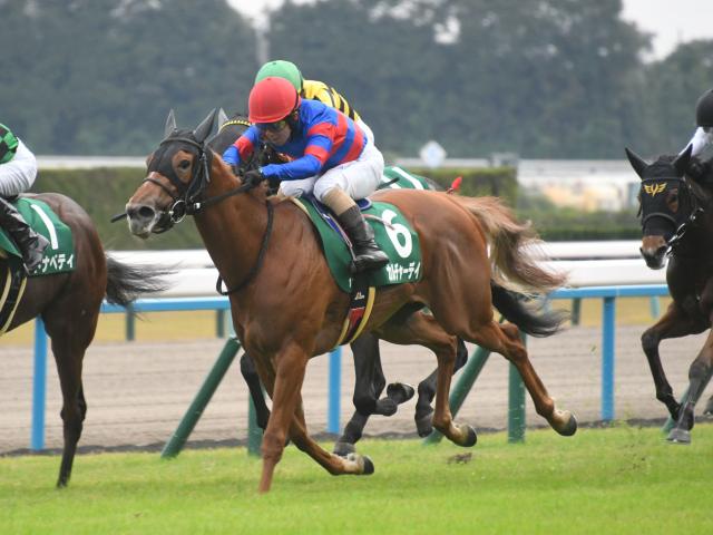 【CBC賞展望】好走条件揃うカルチャーデイが重賞2勝目を狙う