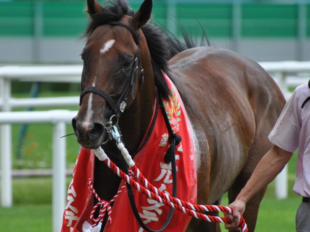 エルムS男・岩田康誠 過去の5勝を振り返る