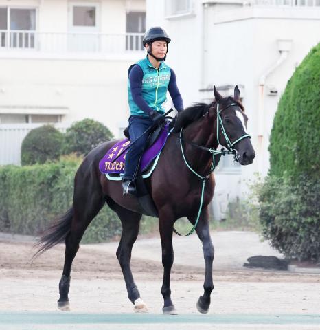 アスコリピチェーノ参戦ジャックルマロワ賞、ダノンデサイル出走インターナショナルSのJRA海外馬券発売発表
