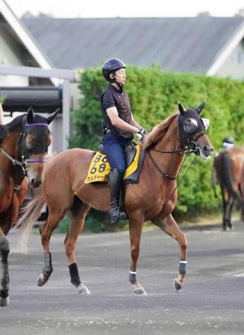 【CBC賞】重賞2勝目を狙うカルチャーデイは好仕上がり　四位調教師「しっかりやって負荷をかけている」