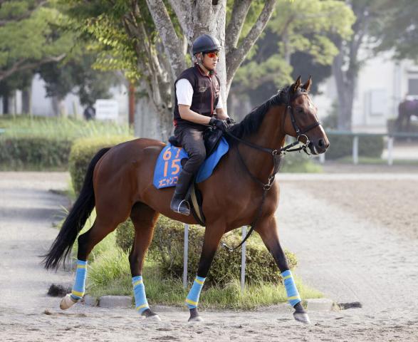 【注目馬動向】七夕賞3着のオニャンコポンはチャレンジCが目標