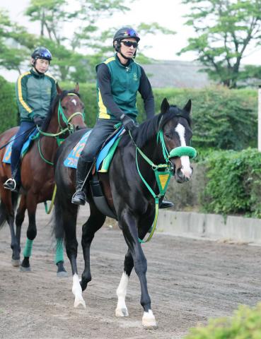 【エルムS】ブライアンセンスが前走9着から反撃　マーチSに続く重賞2勝目へ陣営「消耗戦の方がいい」