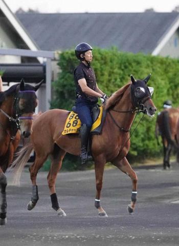 【CBC賞】カルチャーデイ　1週前自己ベスト　四位師も自信「仕上がりの早い牝馬」