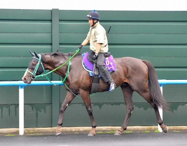 【エルムS】ドゥラエレーデ　昨年のリベンジ　寺田助手「今年は早めにトレセンに入れて調整できている」
