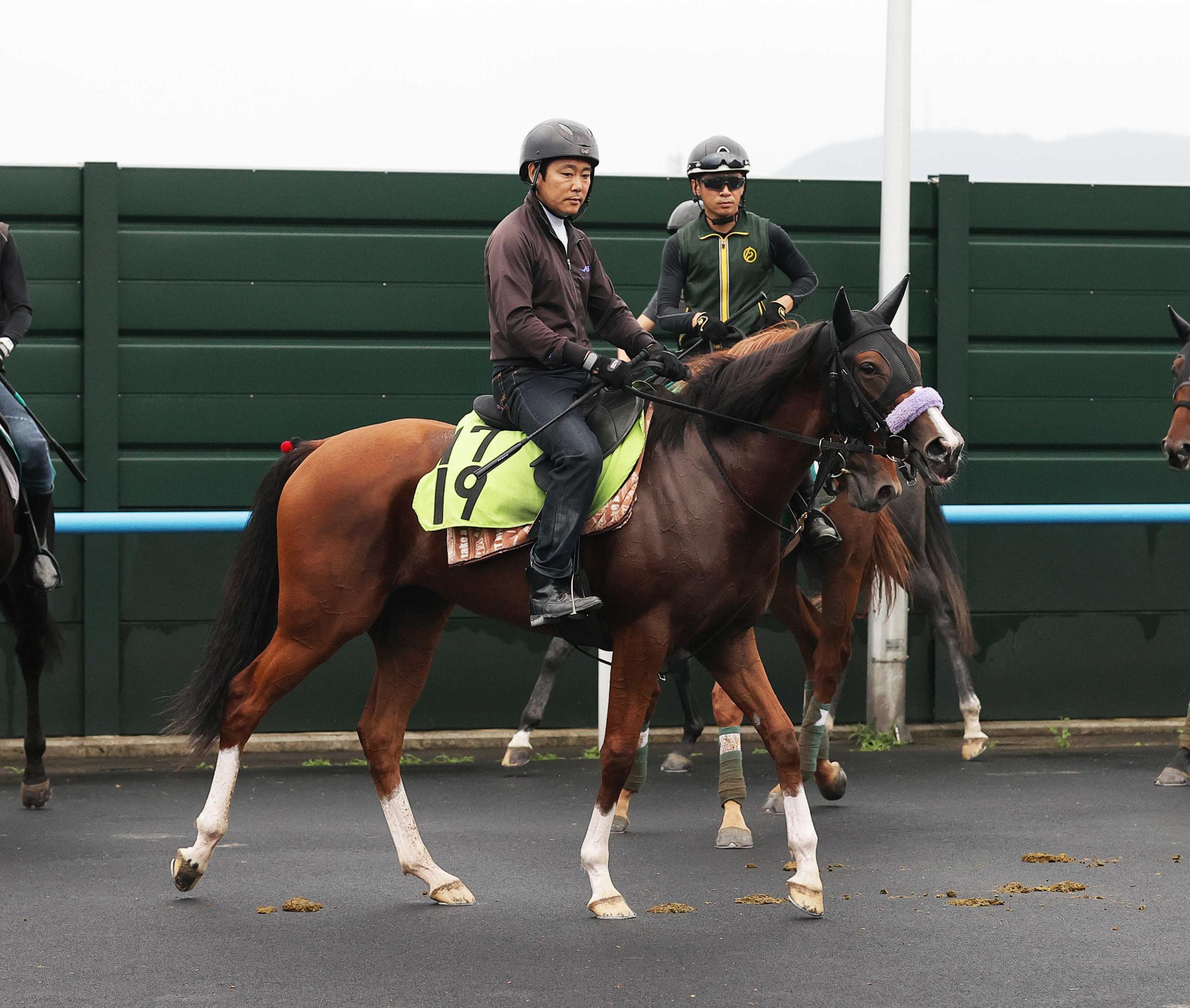【新馬戦】ベルグランボヌール　浜中で初戦突破へ　近親にステラヴェローチェ