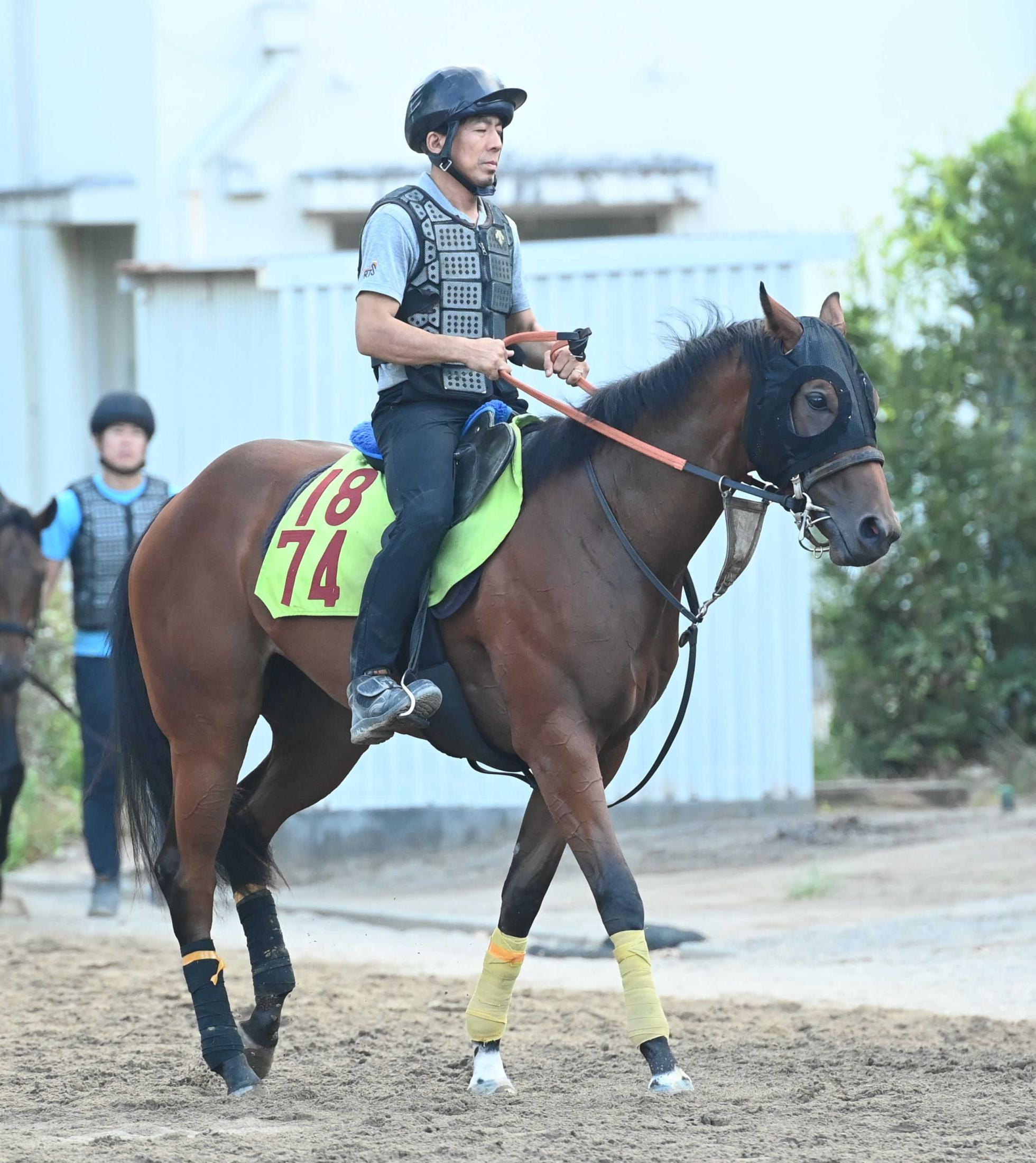 【新馬戦】ドロボーネコ　新馬Ｖ“盗る”　武井師「背中がすごく良くて、乗り手の評価が高い」