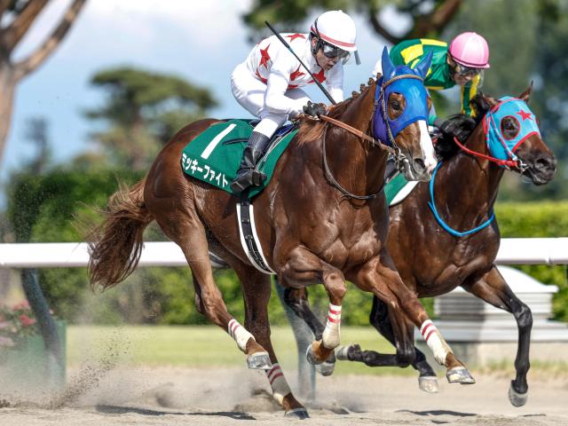 過去の勝ち馬には名馬ズラリ 「レパードS」は昨年からジャパンダートクラシックの前哨戦に