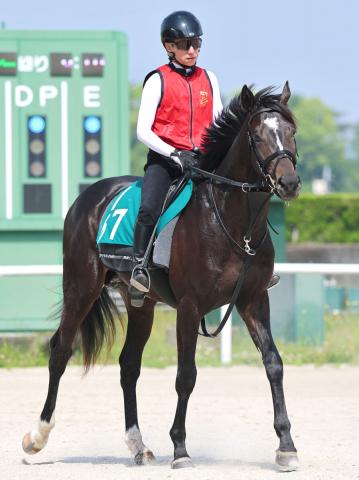 【POG】セレクト5・2億円馬サガルマータが栗東に帰厩　川田将雅騎手で9月7日の阪神・芝1800メートルを予定